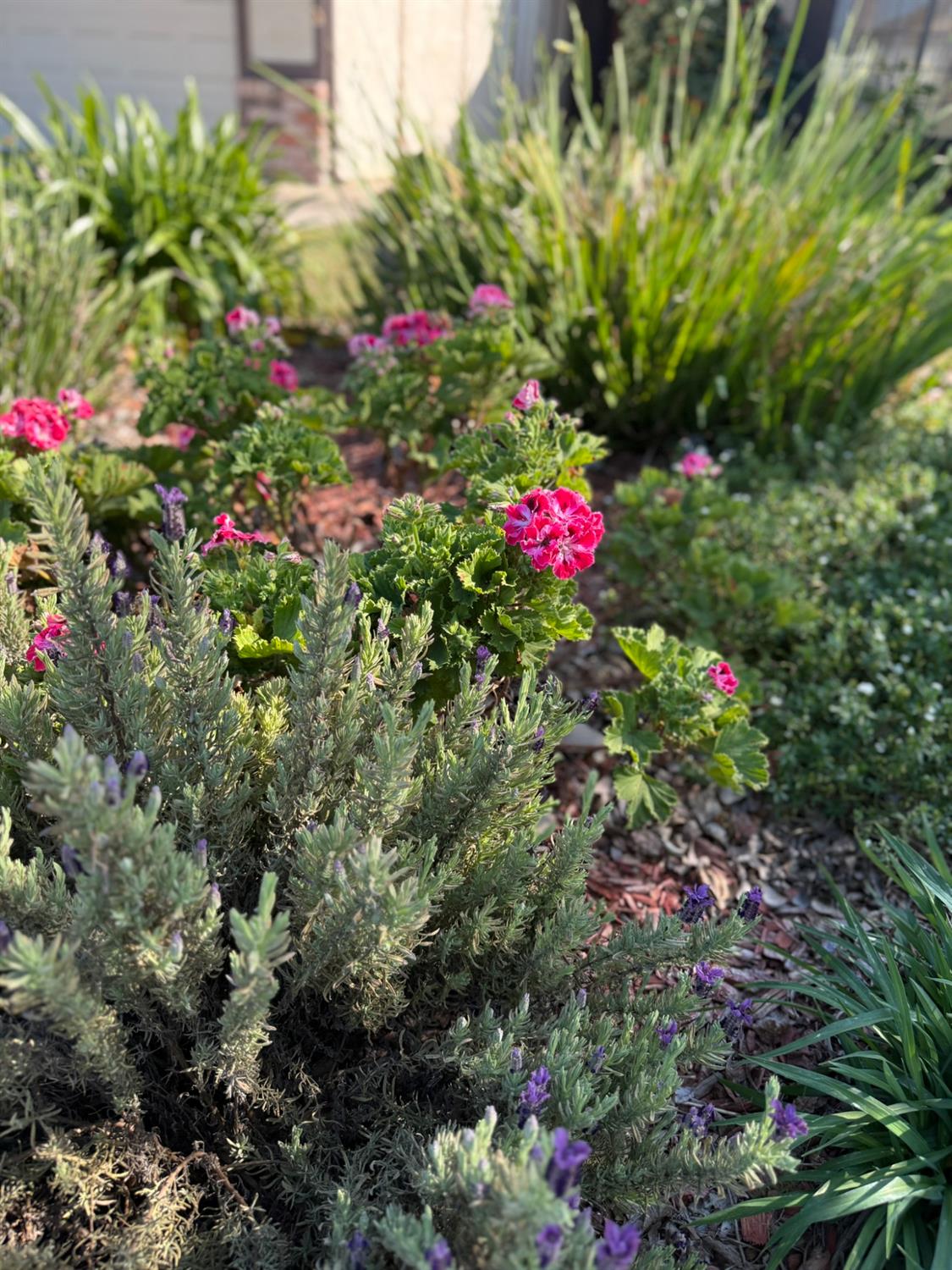 2056 Elwin Way Modesto, CA 95350 - Photo 27 of 28