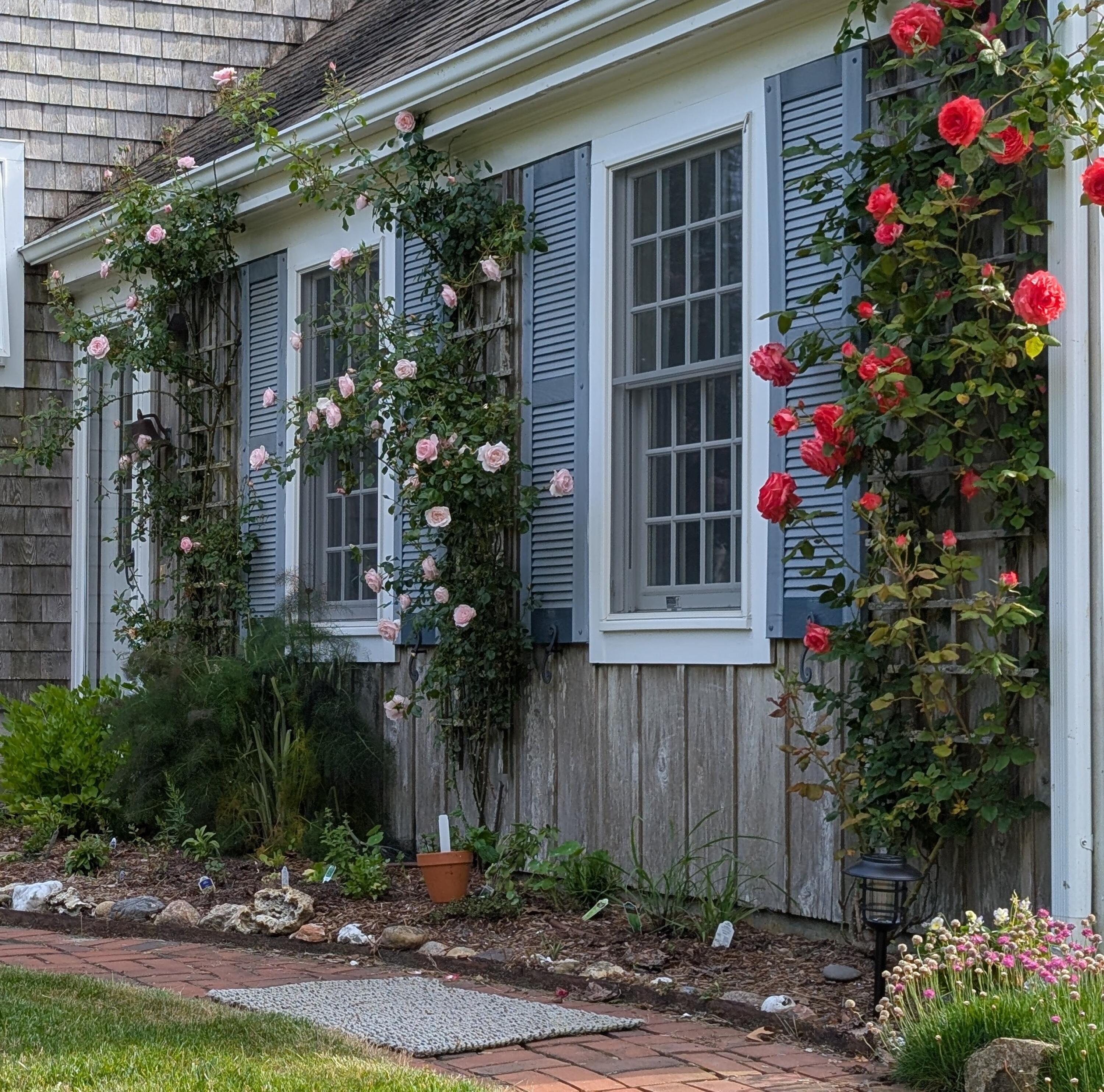 16 Old Salt Works Road Chatham, MA 02633 - Photo 15 of 69 PXL_20250613_205927365~3