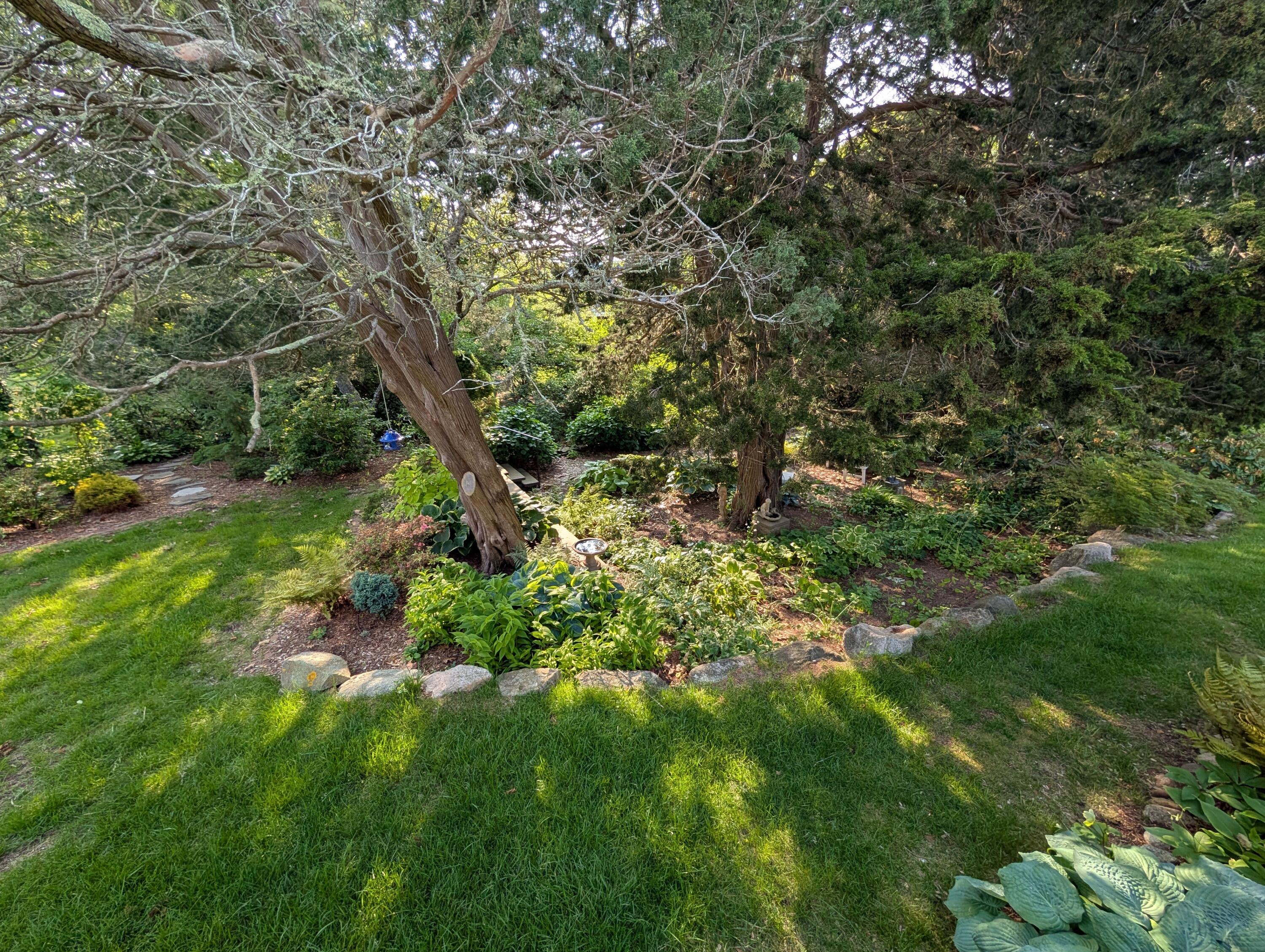16 Old Salt Works Road Chatham, MA 02633 - Photo 48 of 69 a backyard of a house with lots of plants and tree