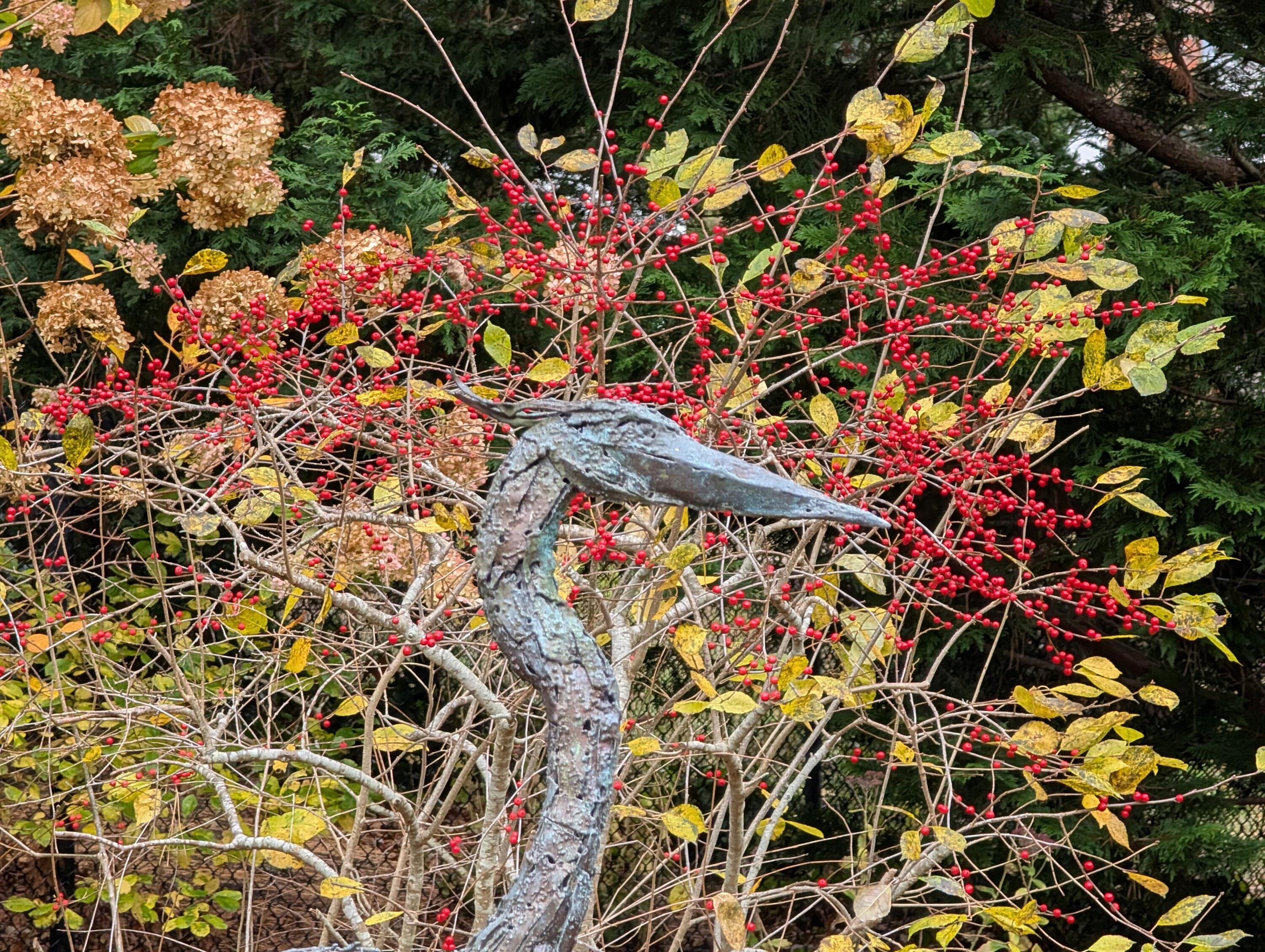 16 Old Salt Works Road Chatham, MA 02633 - Photo 50 of 69 a picture of a tree