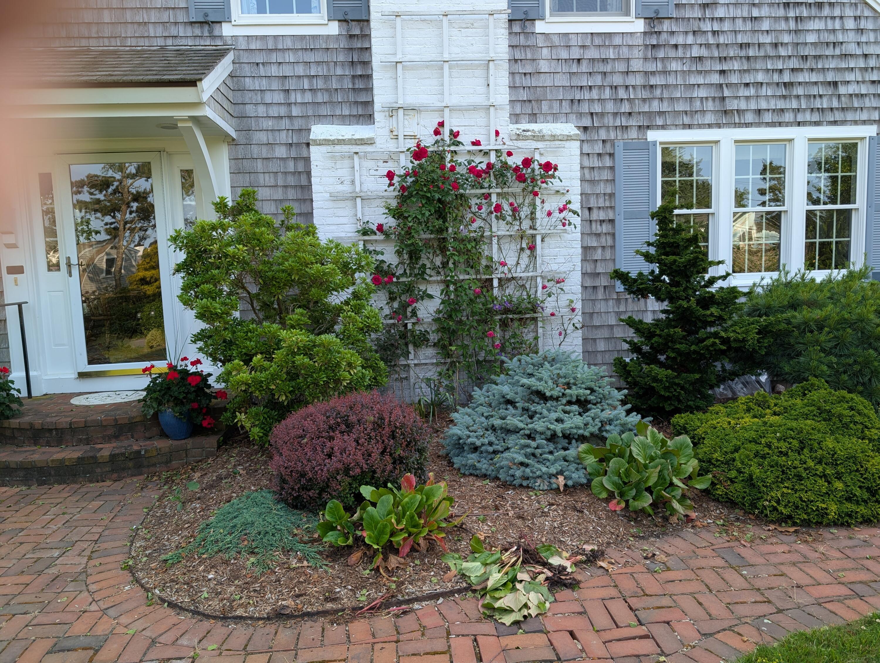 16 Old Salt Works Road Chatham, MA 02633 - Photo 60 of 69 a view of a potted plant sitting in front of a house