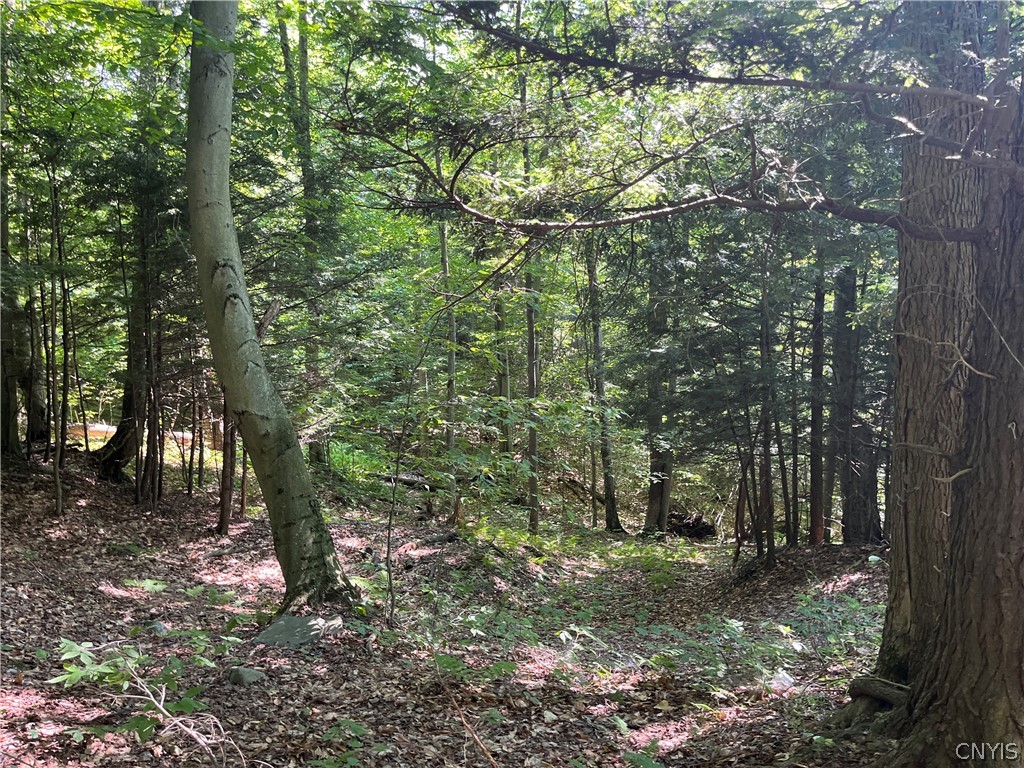 Center Road Lacona, NY 13083 - Photo 5 of 38