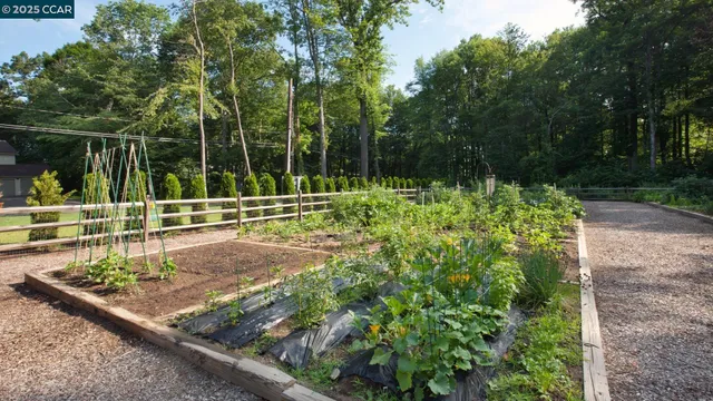 a view of a garden with sitting area