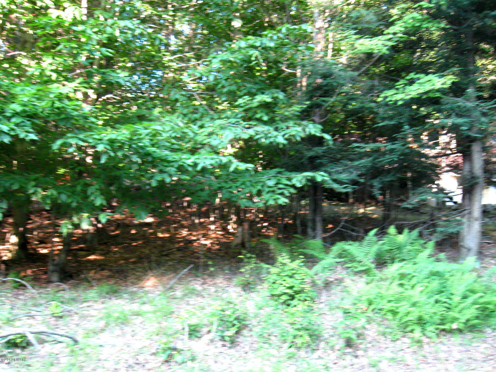 104 Bruin Road Lake Ariel, PA 18436 - Photo 17 of 22 Gallery Image 17