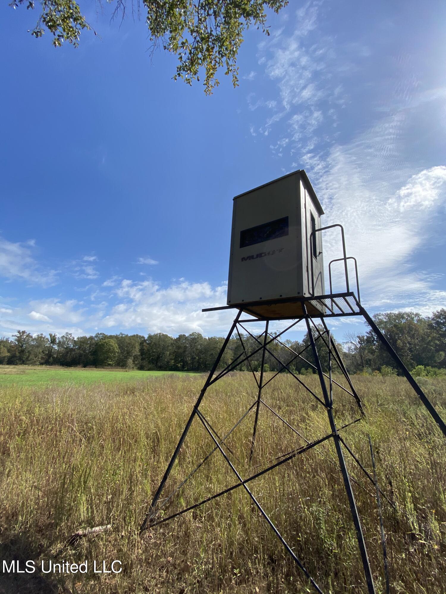 2088 North Old Canton Road Canton, MS 39046 - Photo 1 of 42 431 Acres