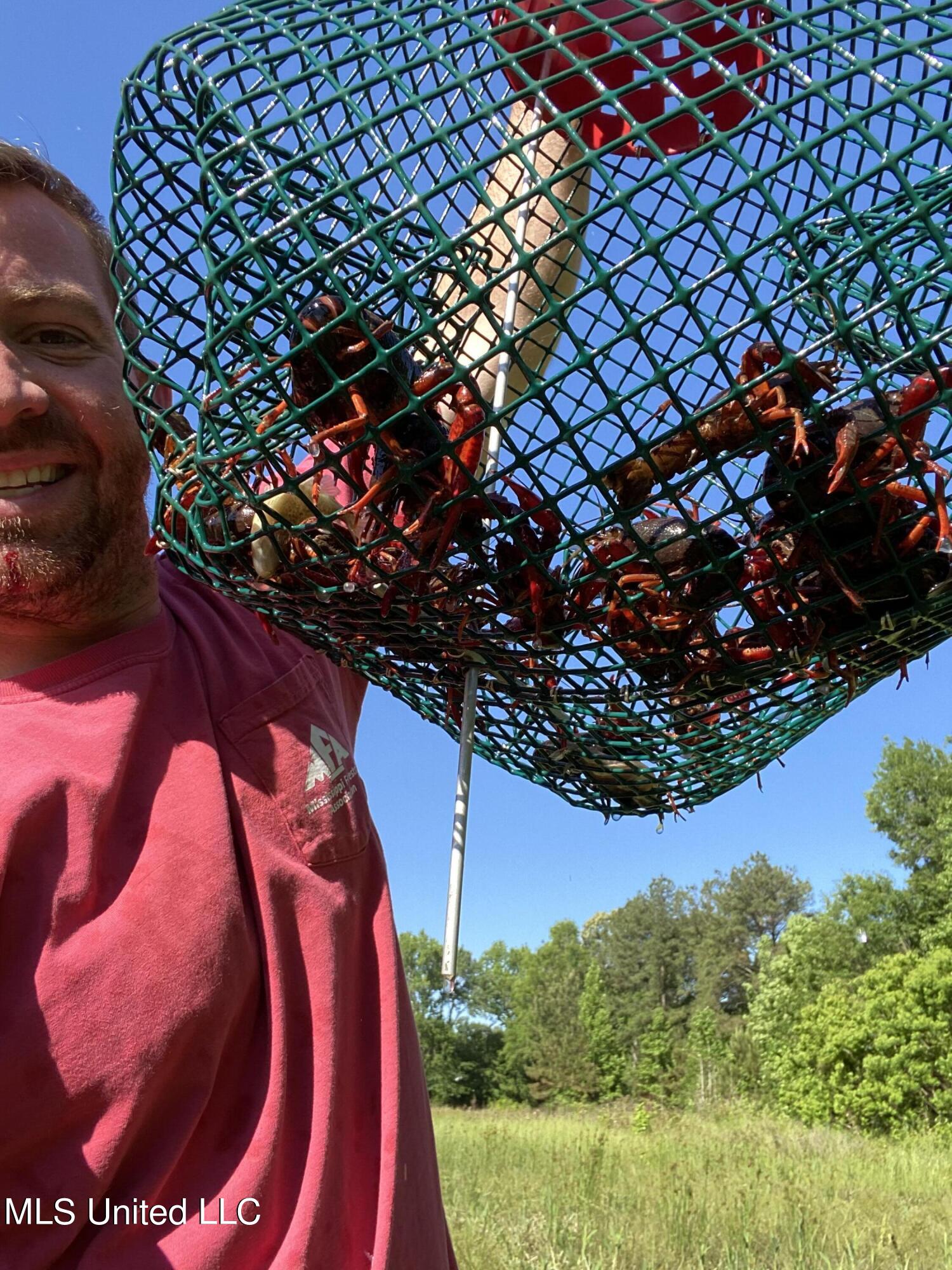 2088 North Old Canton Road Canton, MS 39046 - Photo 29 of 42 Crawfish