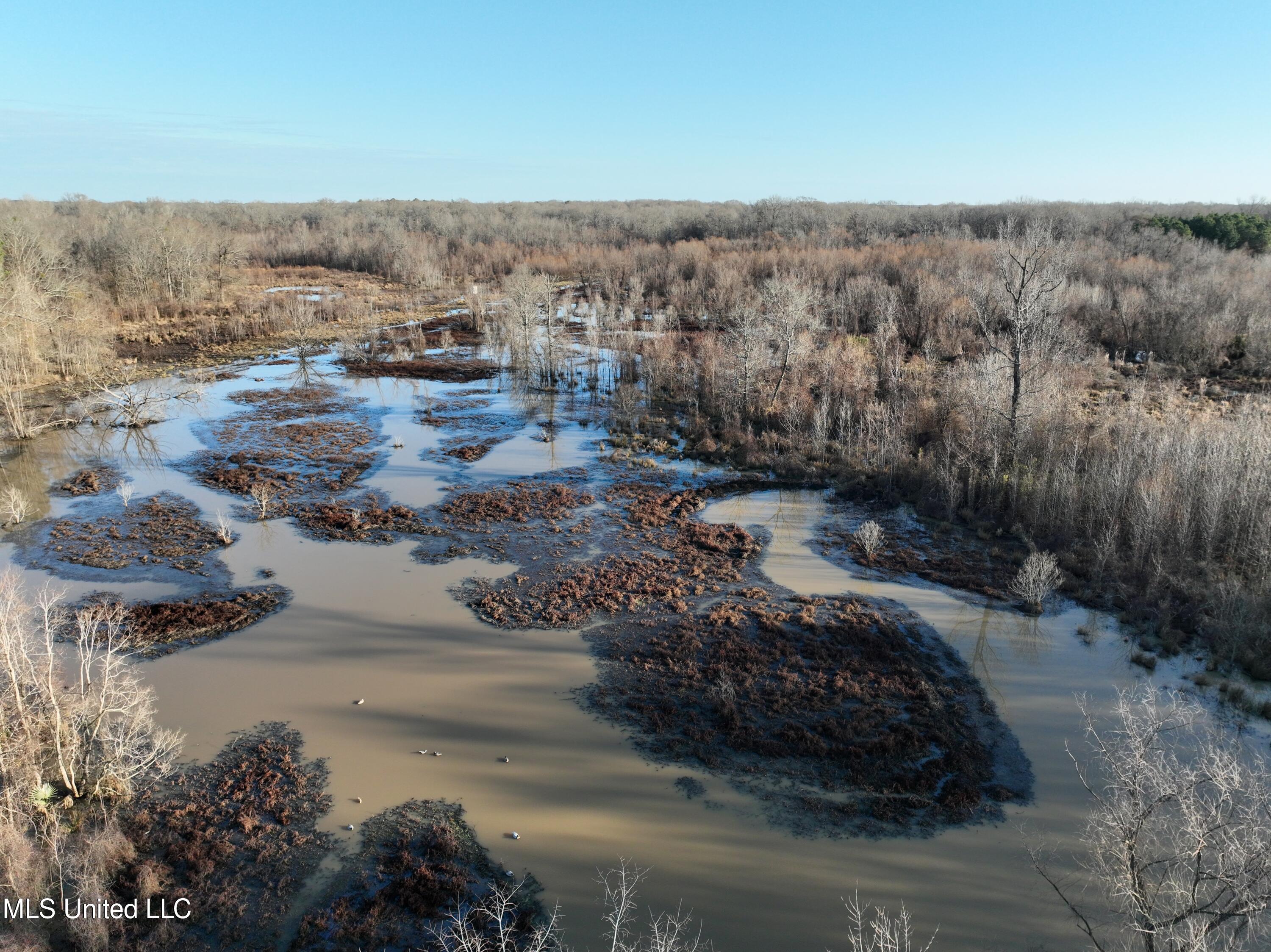 2088 North Old Canton Road Canton, MS 39046 - Photo 4 of 42 DJI_0249 (1)