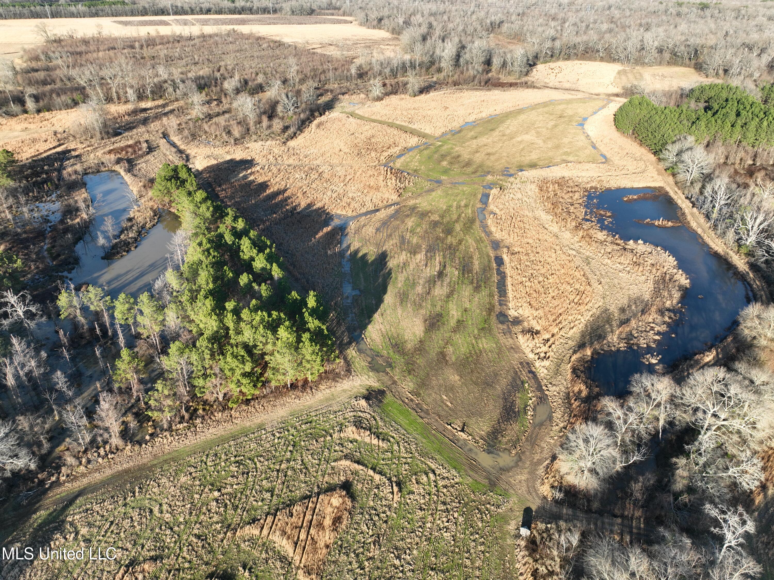 2088 North Old Canton Road Canton, MS 39046 - Photo 5 of 42 DJI_0211 (1)