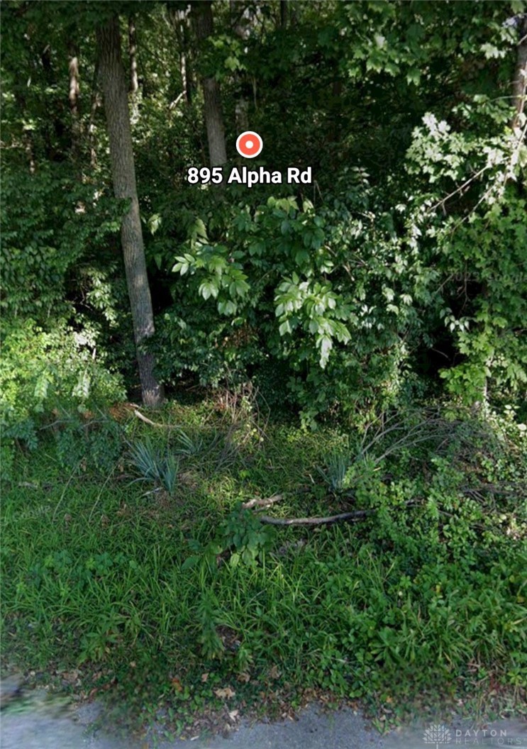 895 Alpha Road Beavercreek, OH 45434 - Photo 3 of 3 street view of lot