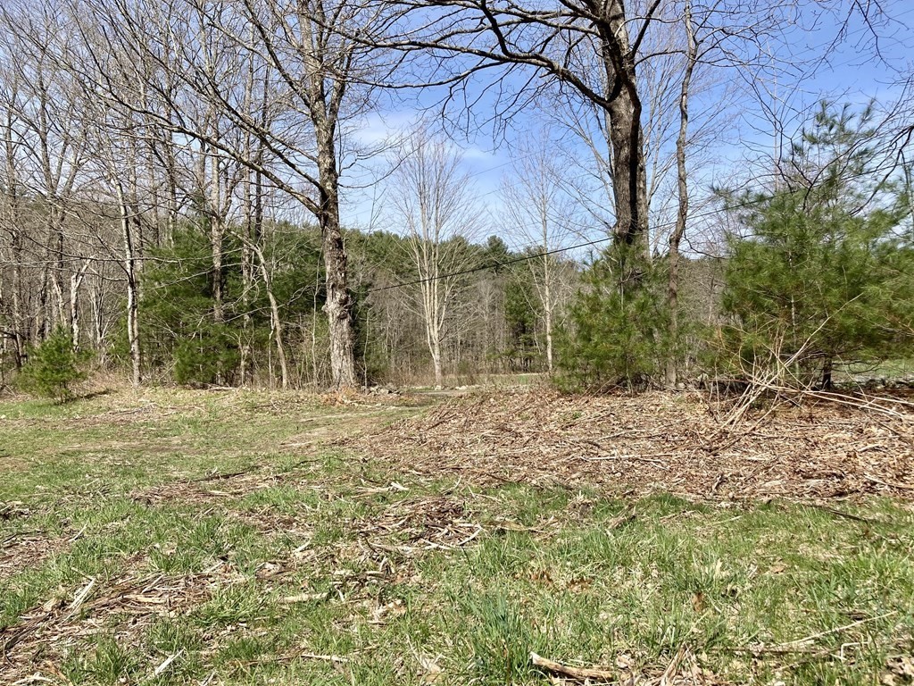 0 Rattlesnake Gutter Road Leverett, MA 01054 - Photo 8 of 17 Gallery Image 8