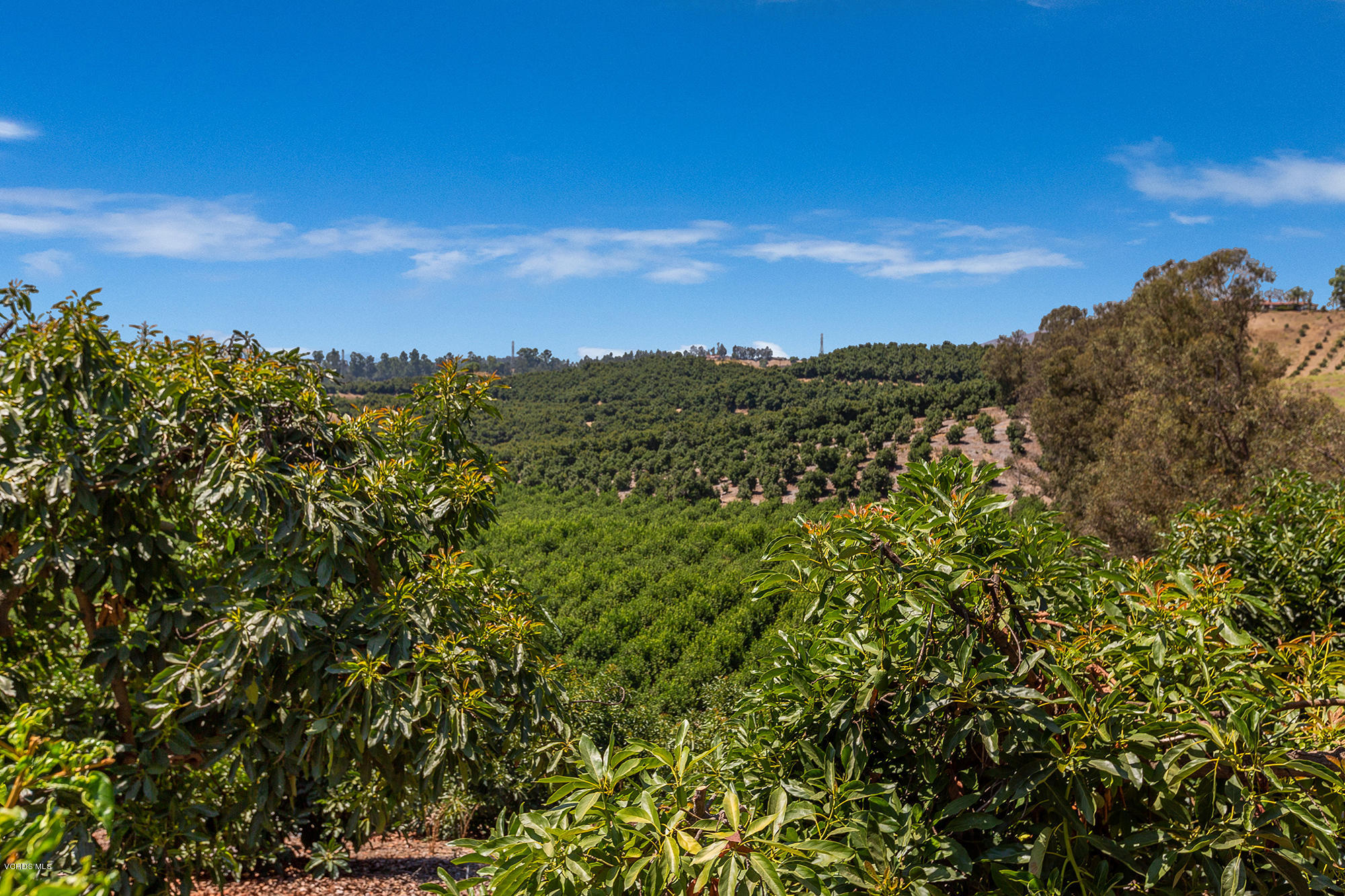 10089 Stockton Road Moorpark, CA 93021 - Photo 2 of 39 a view of a city