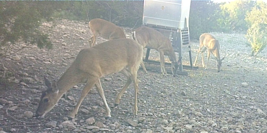 2 Sd 45682 Rocksprings, TX 78880 - Photo 12 of 72