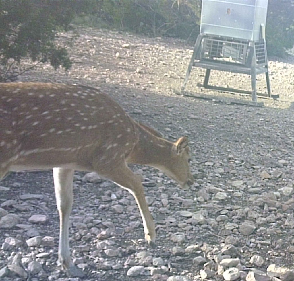 2 Sd 45682 Rocksprings, TX 78880 - Photo 14 of 72 a view of a wooden door and a window