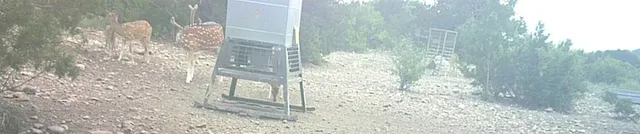 a view of a backyard of the house