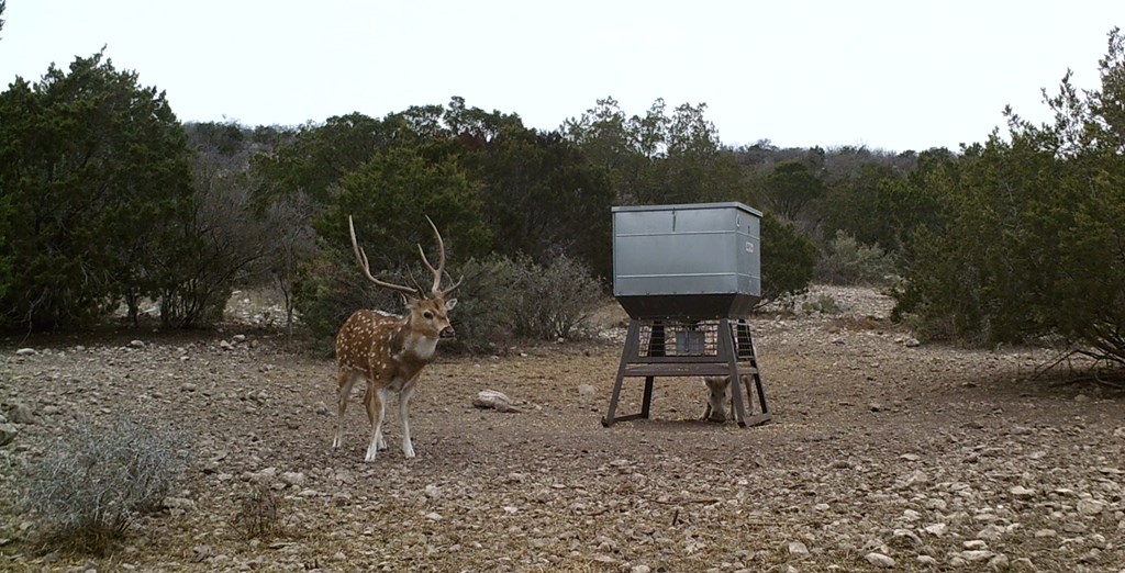 2 Sd 45682 Rocksprings, TX 78880 - Photo 2 of 72 a view of a back yard
