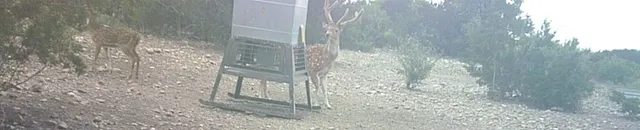an aerial view of residential houses with city view