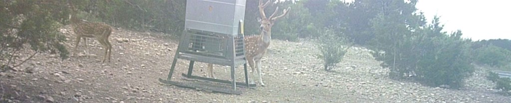 2 Sd 45682 Rocksprings, TX 78880 - Photo 23 of 72