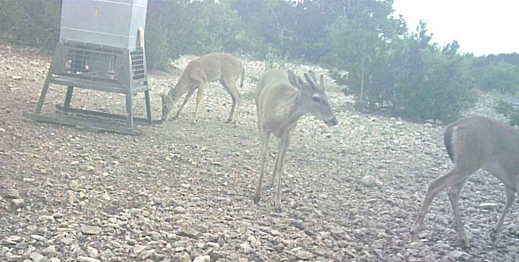 2 Sd 45682 Rocksprings, TX 78880 - Photo 25 of 72 a close view of tap