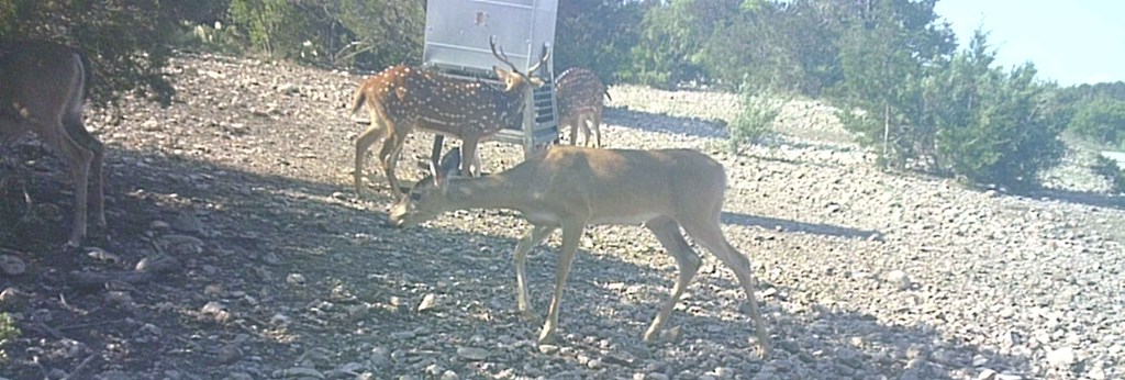 2 Sd 45682 Rocksprings, TX 78880 - Photo 27 of 72