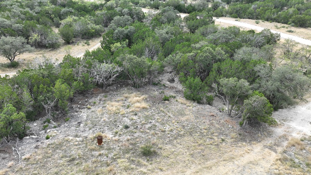 2 Sd 45682 Rocksprings, TX 78880 - Photo 34 of 72 a view of a yard with a tree