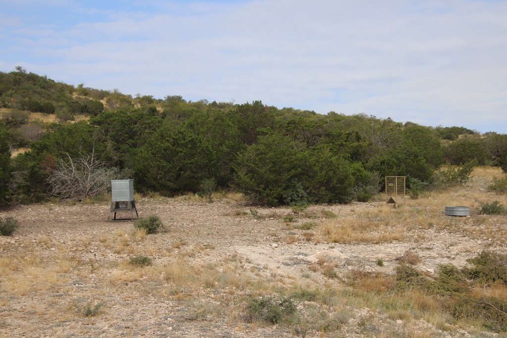 2 Sd 45682 Rocksprings, TX 78880 - Photo 39 of 72 a view of a dry yard with mountain