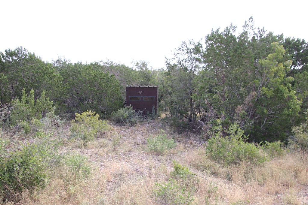 2 Sd 45682 Rocksprings, TX 78880 - Photo 41 of 72