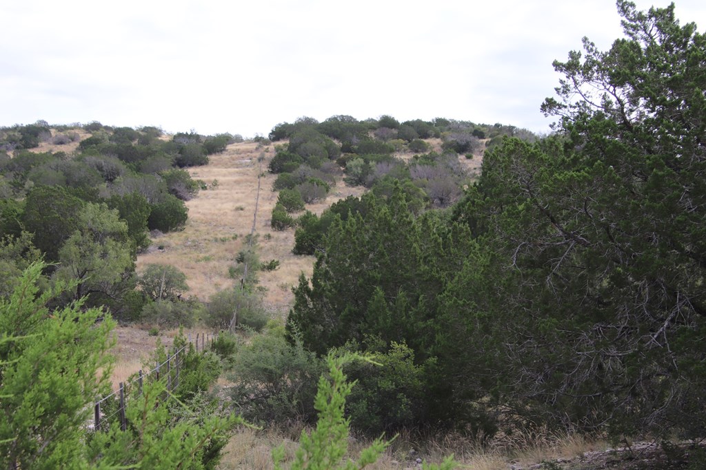 2 Sd 45682 Rocksprings, TX 78880 - Photo 44 of 72 an aerial view of mountain with trees all around