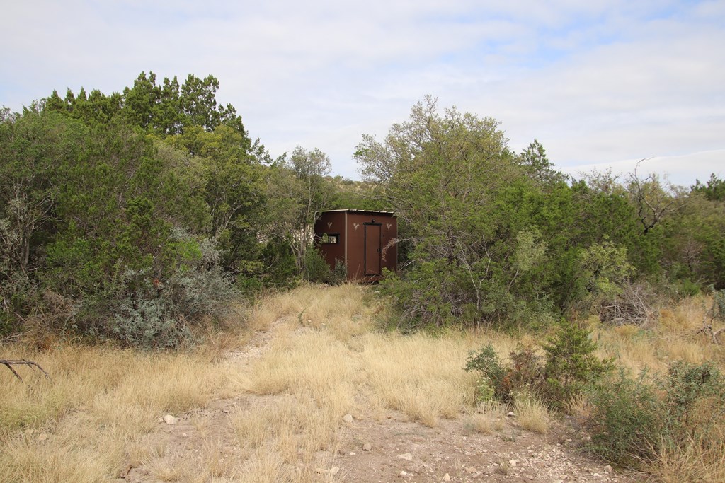 2 Sd 45682 Rocksprings, TX 78880 - Photo 46 of 72 a view of a dry yard with trees