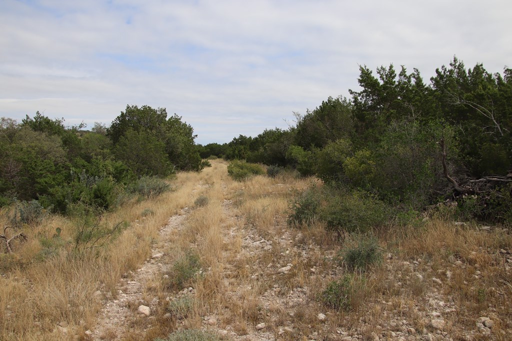 2 Sd 45682 Rocksprings, TX 78880 - Photo 47 of 72 a view of a yard with trees in the background