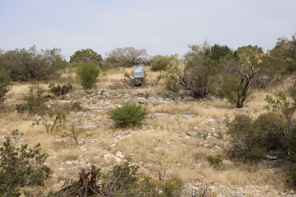 2 Sd 45682 Rocksprings, TX 78880 - Photo 49 of 72 a view of a yard with a tree