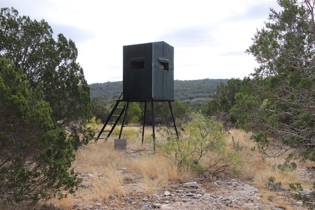 2 Sd 45682 Rocksprings, TX 78880 - Photo 50 of 72 a view of a bench in front of a yard