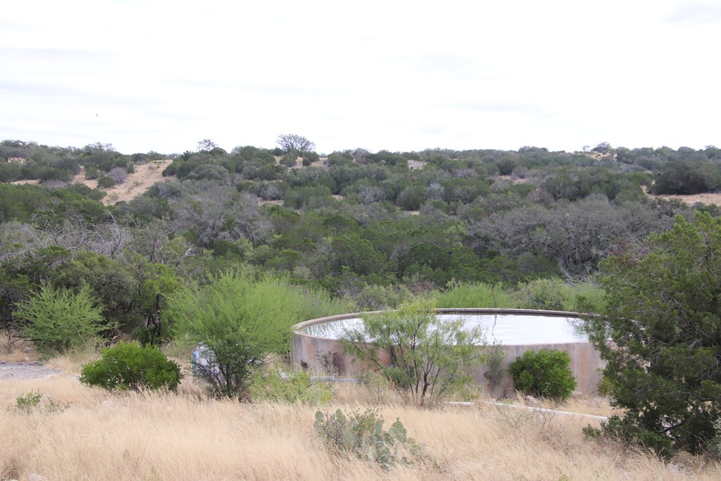 2 Sd 45682 Rocksprings, TX 78880 - Photo 55 of 72 a view of a lake in middle of forest