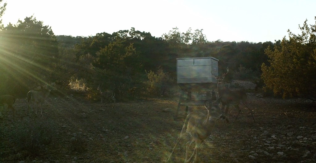 2 Sd 45682 Rocksprings, TX 78880 - Photo 7 of 72 a view of a pathway of a building