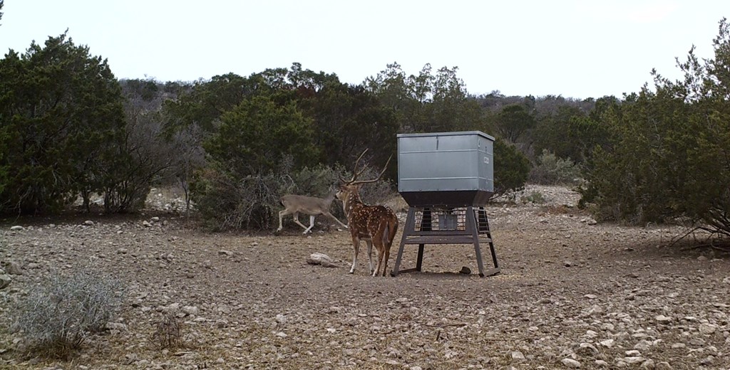 2 Sd 45682 Rocksprings, TX 78880 - Photo 8 of 72 a view of a chairs in a backyard