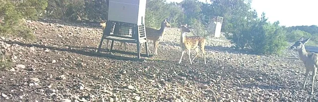 a view of outdoor space