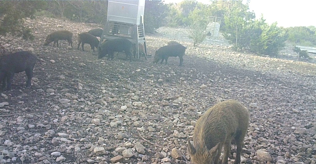 2 Sd 45682 Rocksprings, TX 78880 - Photo 10 of 72