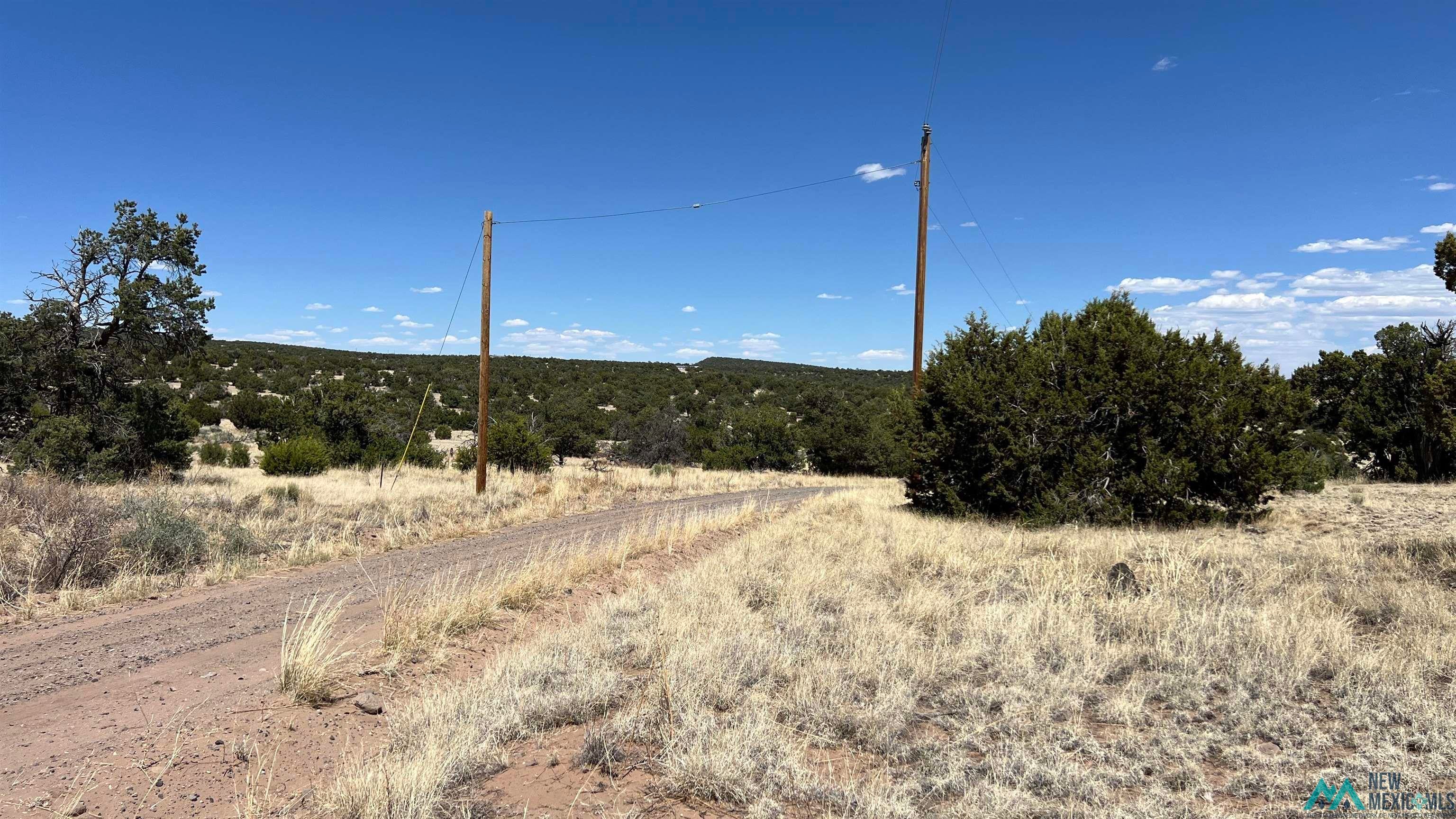 87 Warpath Road Quemado, NM 87829 - Photo 10 of 13 Gallery Image 10