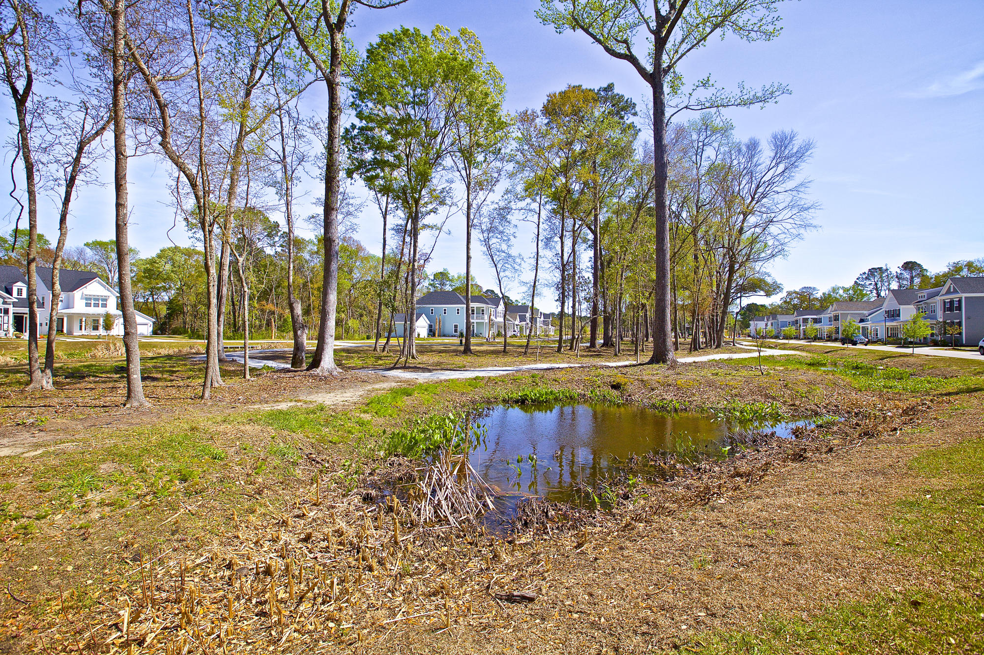 1868 Fleming Woods Road Charleston, SC 29412 - Photo 32 of 34 Fleming nhood view through middle