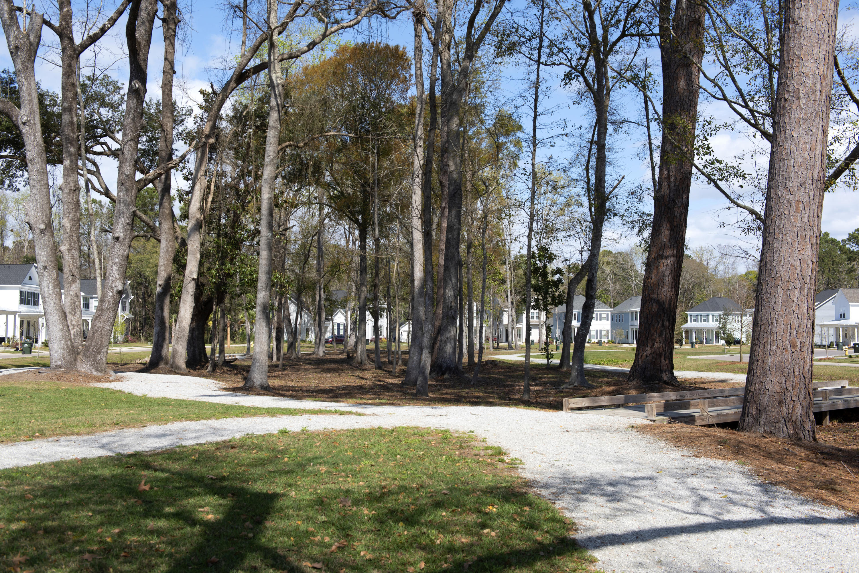 1868 Fleming Woods Road Charleston, SC 29412 - Photo 9 of 34 add trail