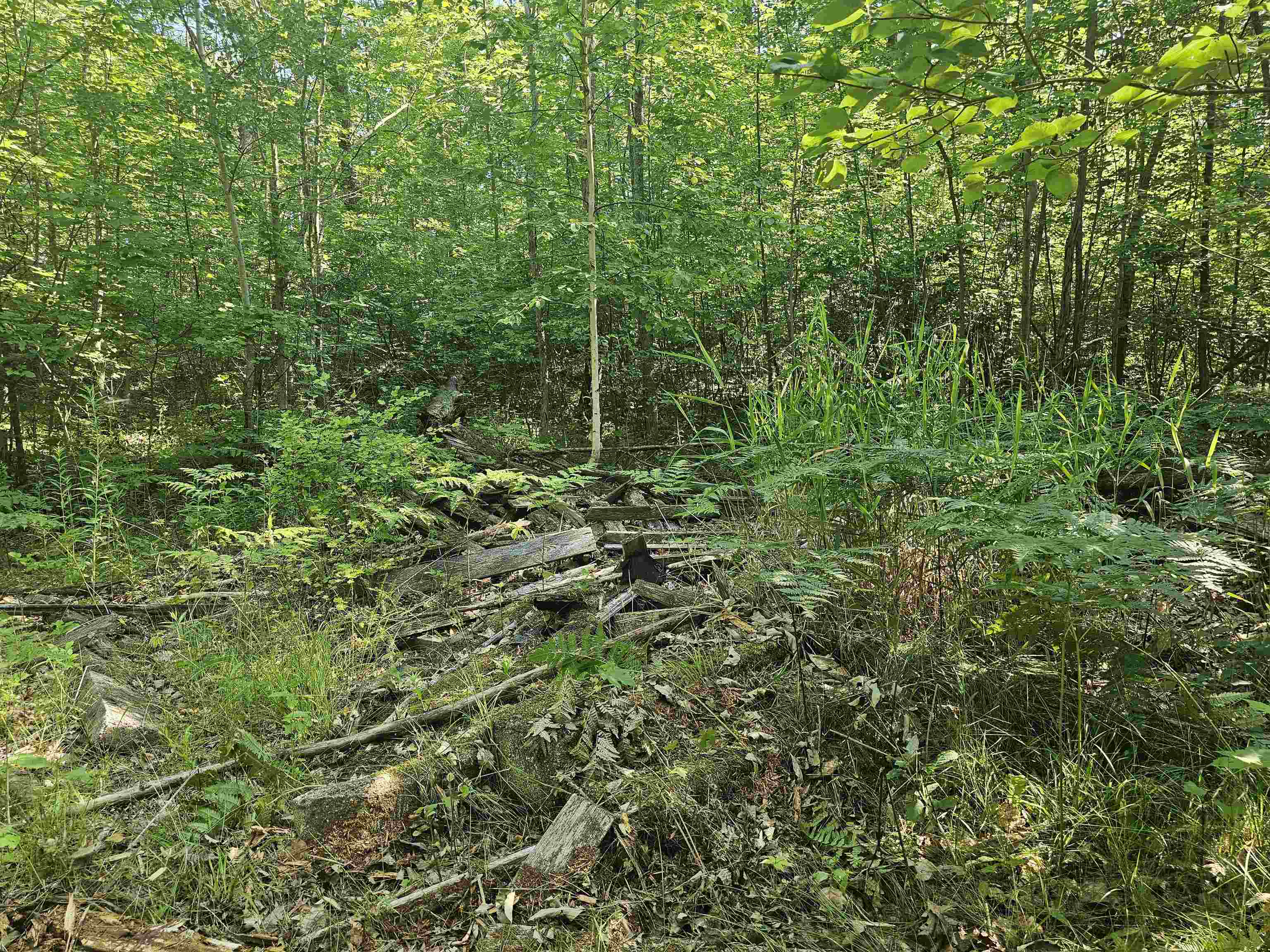 0 Barber Road Hale, MI 48739 - Photo 33 of 34