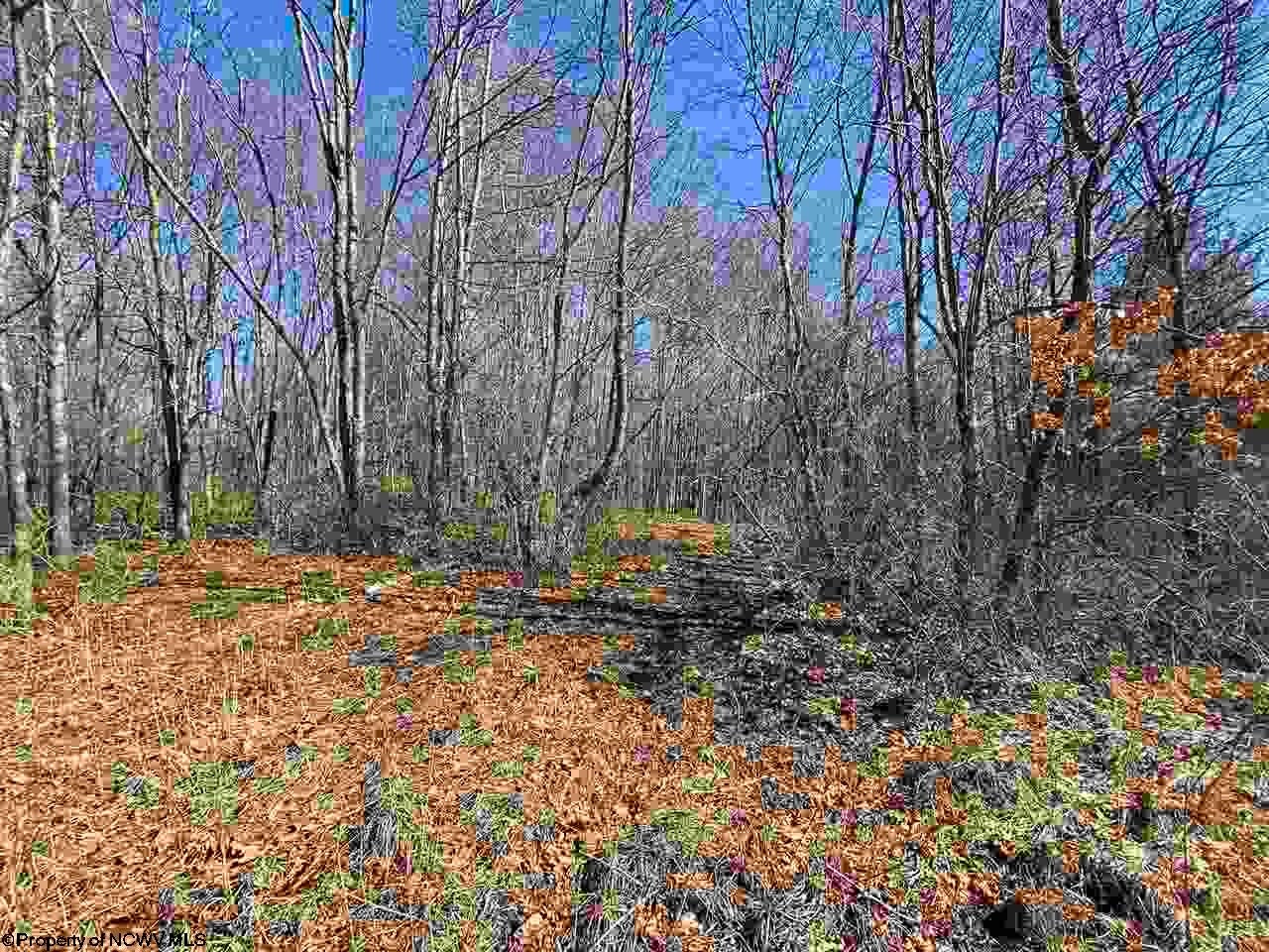 Tbd Kings Run Road Beverly, WV 26253 - Photo 5 of 7 Gallery Image 5