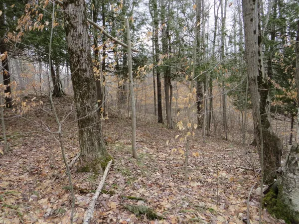 $136,000 | M-115, Marion, MI 49665