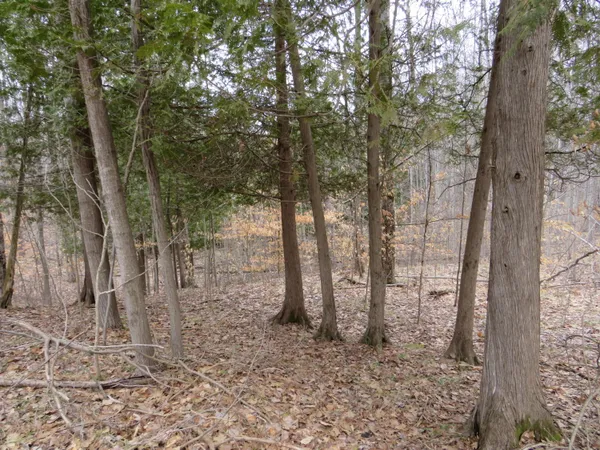 $136,000 | M-115, Marion, MI 49665
