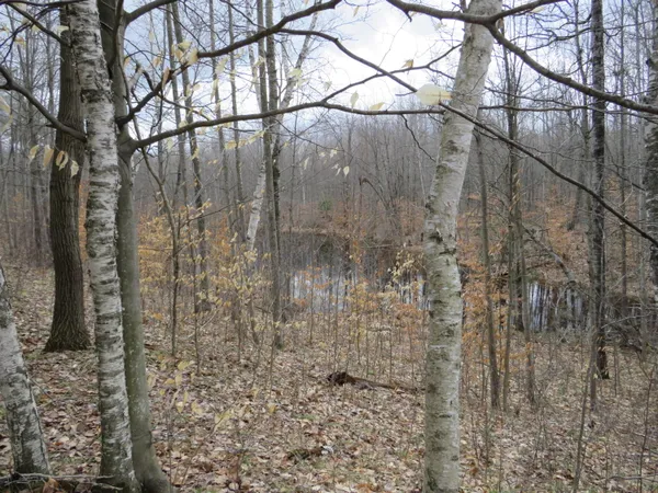 $136,000 | M-115, Marion, MI 49665