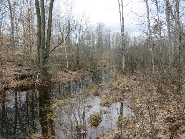 $136,000 | M-115, Marion, MI 49665