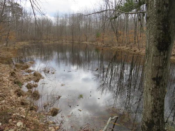 $136,000 | M-115, Marion, MI 49665