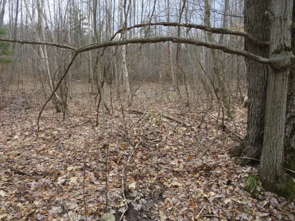 $136,000 | M-115, Marion, MI 49665