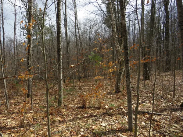 $136,000 | M-115, Marion, MI 49665