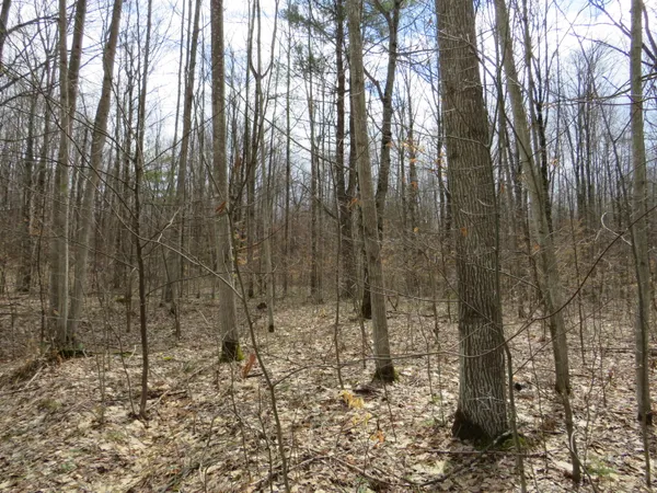 $136,000 | M-115, Marion, MI 49665