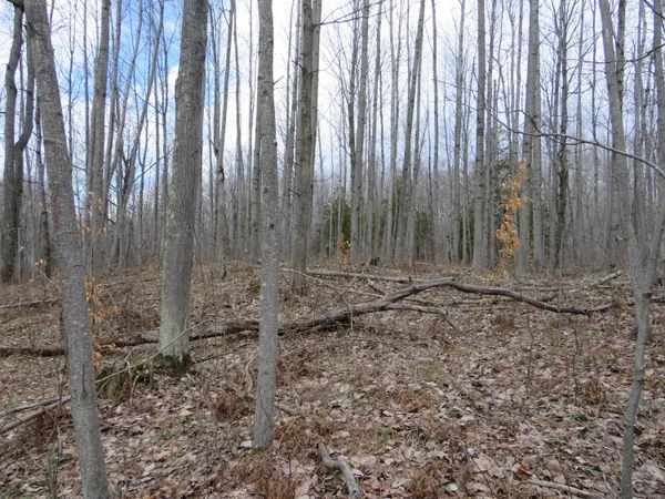 $136,000 | M-115, Marion, MI 49665